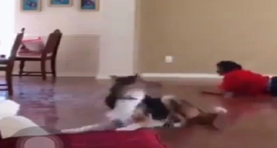 بالفيديو.. سقوط مروع لفتاة حاولت استعراض رشاقتها أمام الكاميرا