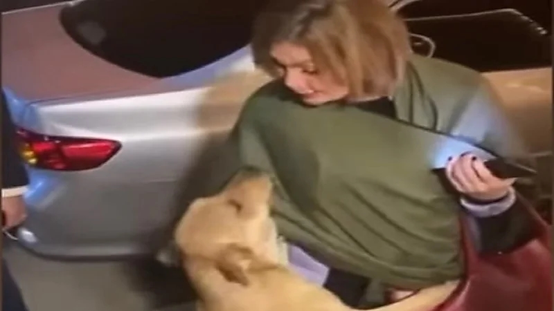 يسرا: طريقة تعاملك مع الكائن الضعيف بتقول عنك كتير