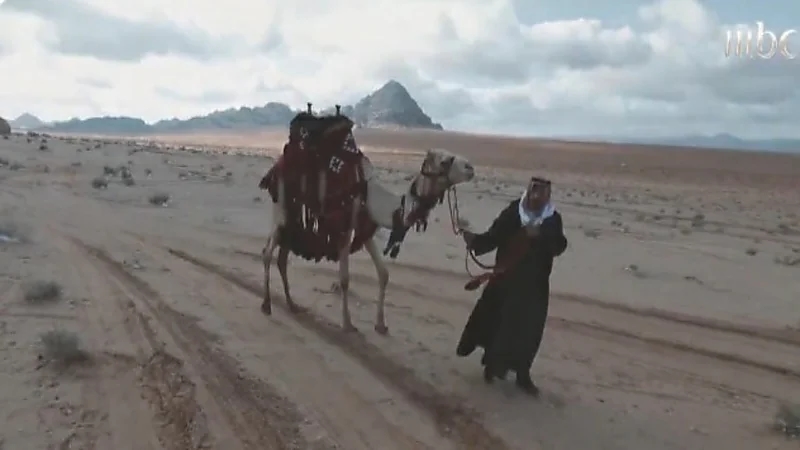 بالفيديو.. الشقيري يكشف عن سر احتماء العربي بالإبل ليلا في الشتاء القارس