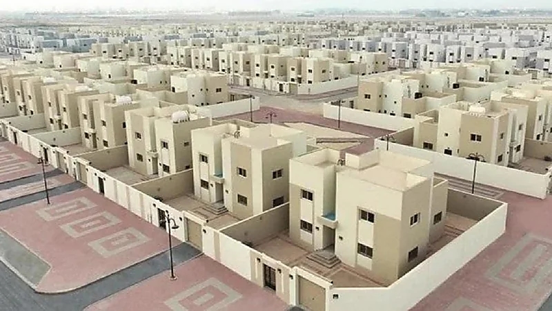 شاهد .. كيفية تعامل شؤون الحرمين مع القطط السائبة في المسجد الحرام