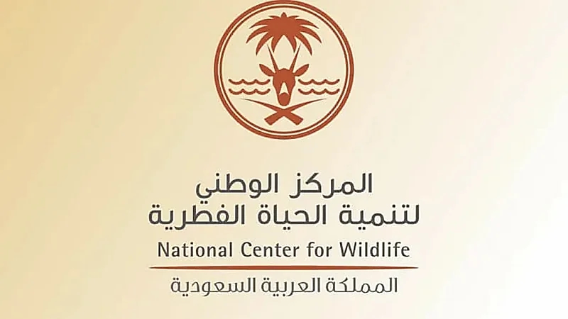 السجن وغرامة مالية 400 ألف ريال لصاحب مقطع تعذيب قرود البابون