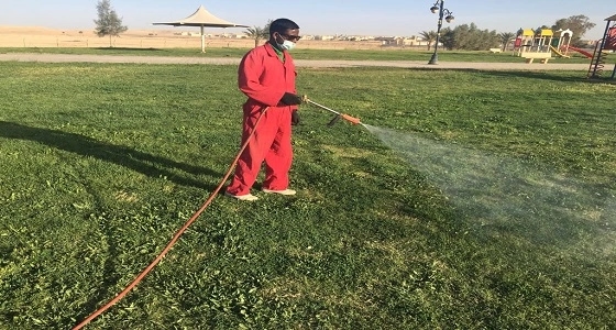 الشمالية تضع خطة لصيانة المسطحات الخضراء