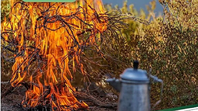 ضبط 4 مخالفين أشعلوا النار في أراضي الغطاء النباتي