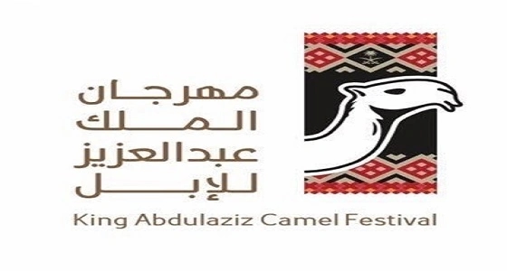 تحكيم المغاتير لمزايين الإبل تستعرض اليوم 12 منقية في فئة جْمل 100 وضح