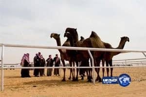 آبل تطرح تطبيق جديد للمعاملات المالية