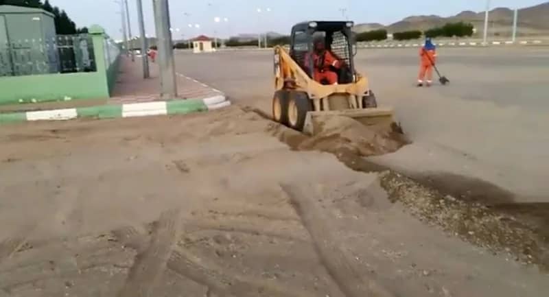 شاهد.. مواطنة تروي قصة نجاحها وخطتها لزراعة الموز الأزرق