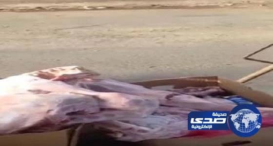 أمانة المدينة المنورة تصدر أكثر من 1400 رخصة بناء