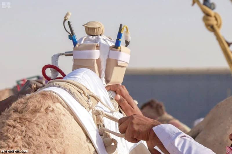 حقوق الإنسان: توضح عقوبة استغلال الأطفال من أجل التكسب المالي أو الشهرة