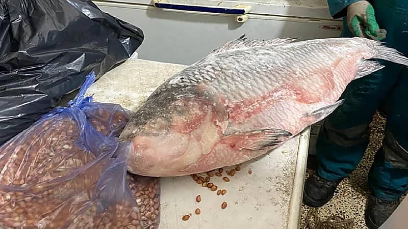 شاهد.. لحظة تدمير تعزيزات كبيرة للحوثيين في مأرب بواسطة طيران التحالف