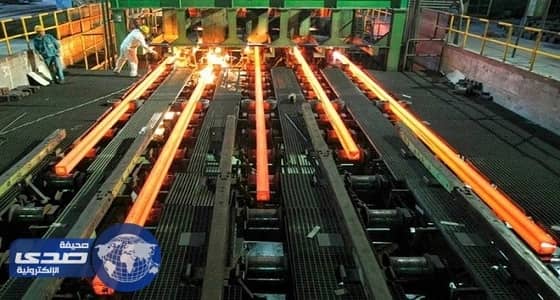 أطعمة تحتوي على معدن الحديد