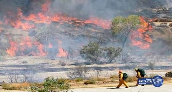 القنصل العام في لوس انجلوس: لا إصابات للسعوديين جراء حرائق كاليفورنيا