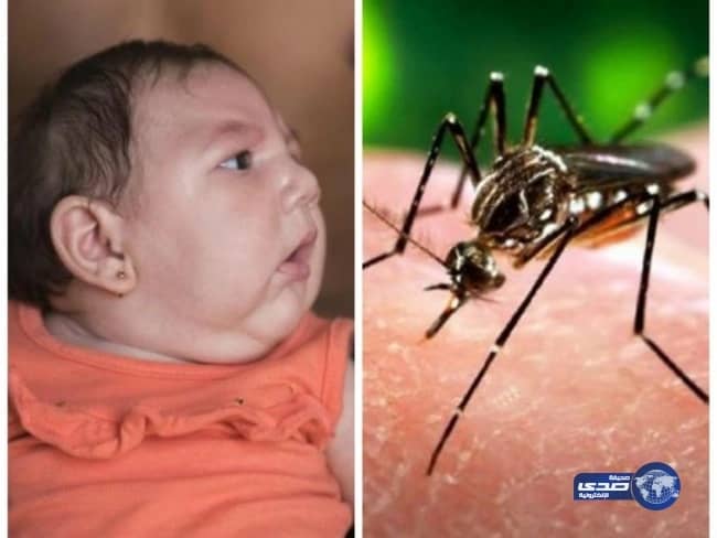 الهند تطمئن مواطنيها عقب اكتشاف ثلاث حالات مصابة بـ«زيكا»