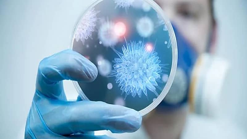 الصحة توضح طرق للوقاية من العدوى البكتيرية