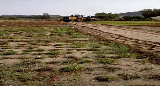 إزالة 3 مزارع مخالفة بمكة المكرمة