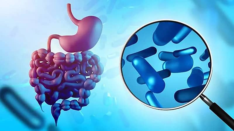 ميكروبات الأمعاء قد تفتح آفاقًا جديدة لعلاج الأرق