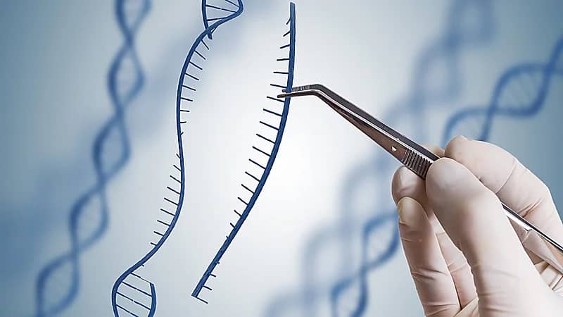 بالفيديو..استشارية: العوامل الوراثية ليس لها تأثير على إنجاب الذكور أو الإناث