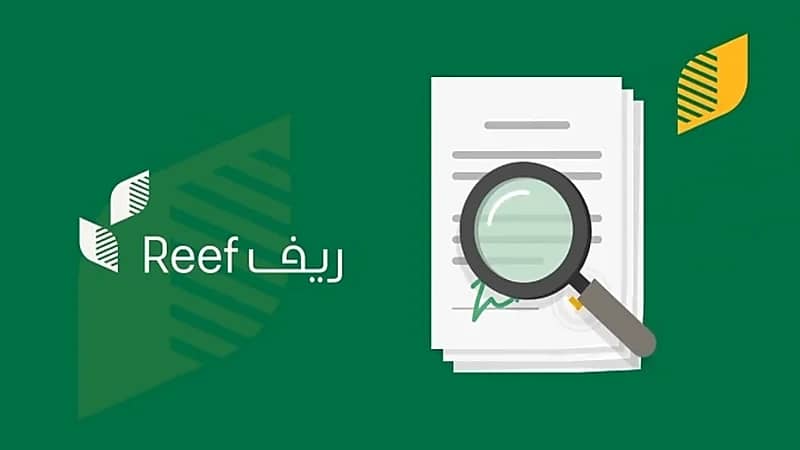 بالفيديو.. برنامج «ريف» يحذر من عدم الالتزام ببعض المعايير