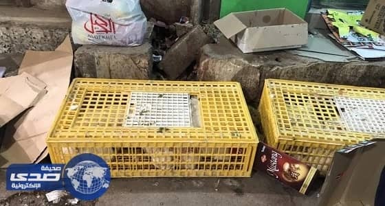 بالفيديو.. فوضي في شارع الخالدية ببردة بسبب الآسيويين