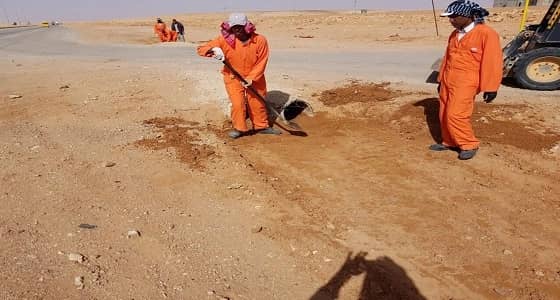 تنظيف العبارات بقرية " ابن بكر " لمعالجة التشوه البصري