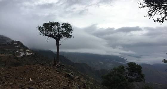 سبب تسمية " الجبل الأسود " الذي يمثل جمال الطبيعة في جازان
