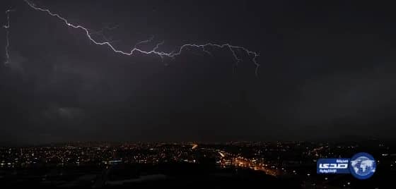 الرئيس الباكستاني يشيد بجهود خادم الحرمين في خدمة الإسلام والمسلمين