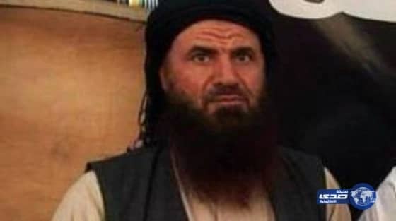 بالفيديو .. تمساح يعض مروض حيوانات شرسة