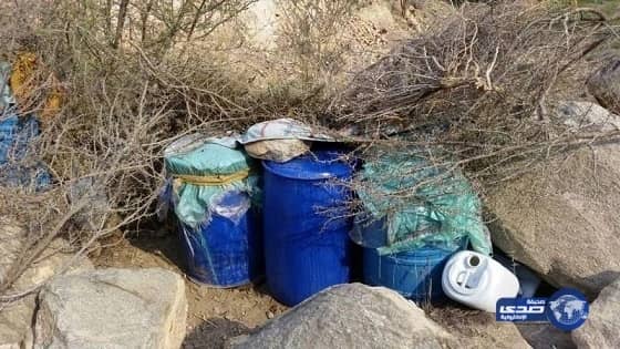 شاهد.. وصلة رقص وغناء بين نيكول سابا والهام شاهين 