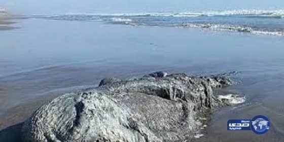 بالصور ..سعوديون على الطرق المؤدية إلى الحرم يصلحون السيارات المتعطلة