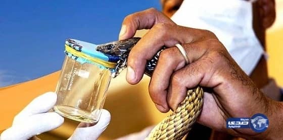 بالصور.. نجمات العرب بإطلالات جريئة