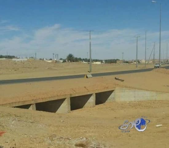 مرتادو طريق "جريش- تيماء" عدم وجود حواجز يعرضنا للخطر