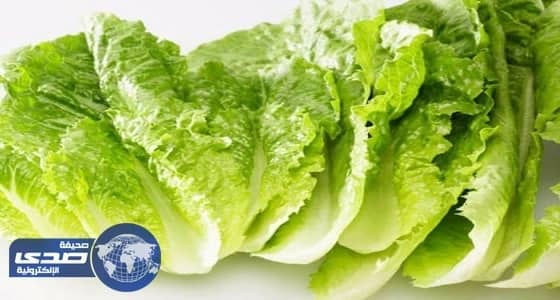 5 فوائد للخس.. أبرزها نقص الوزن