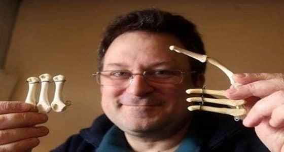 جراح يستخدم الدجاج المشوي في عمليات التجميل