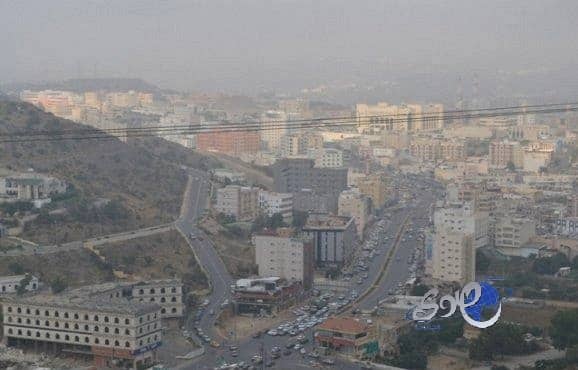 إلقاء القبض على 795 مخالفاً إفريقياً في الباحة