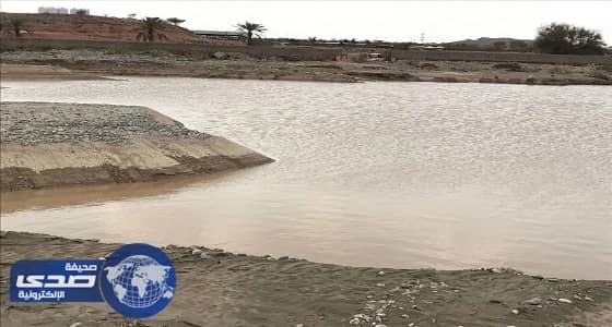 بالصور.. مواطنو الطائف يناشدون الدفاع المدني بالوقوف على حفرة عميقة ودرء خطرها