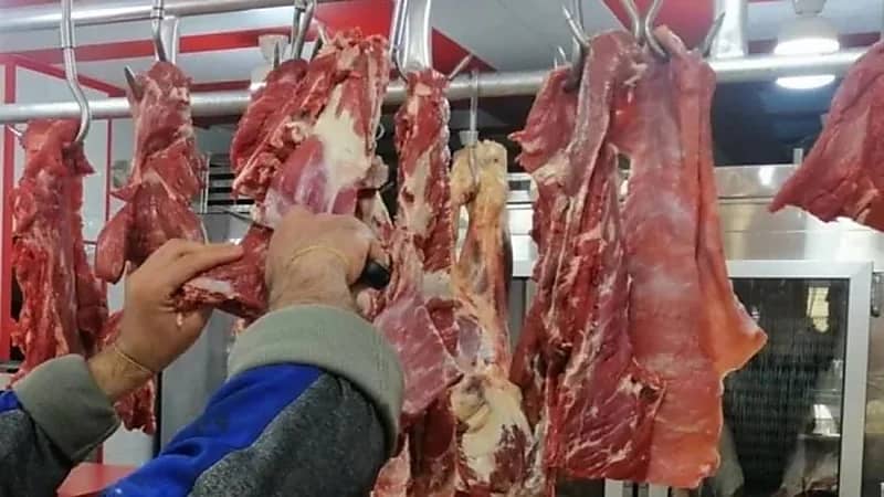 انخفاض ملحوظ في أسعار الذبائح