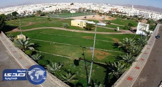 أمانة المدينة في مأزق بعد صعودها للترند