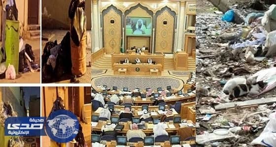 " الشورى " يُشيد بدور القطط والكلاب في معالجة النفايات أكثر من البلديات