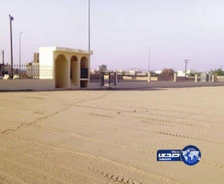 "الأوقاف": لا دخل لنا بتحويل المصليات في طريب