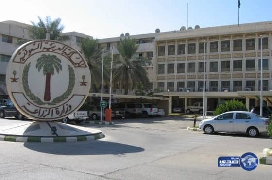 مواطنون لـ "صدى": شروط "وزارة الزراعة" التعجيزية تحرمنا قرارات زراعية