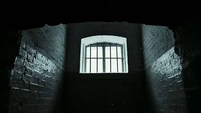 بالفيديو.. قصة سجين بالعصر الأموي صارع أسدًا لإطلاق سراحه