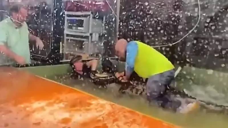 شاهد.. تحول احتفالية أطفال إلى كارثة بعد هجوم تمساح على مدربة