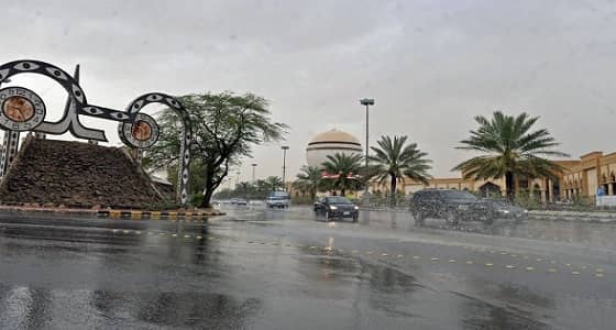 في 24 ساعة.. الأمطار تضر 23 شخصا وتحتجز 55 بالقصيم