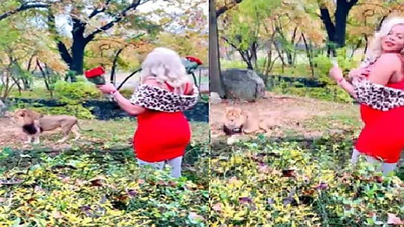 امرأة تقتحم عرين أسد للرقص معه