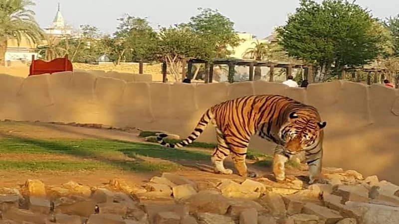 إغلاق حديقة الحيوان بالرياض مؤقتا