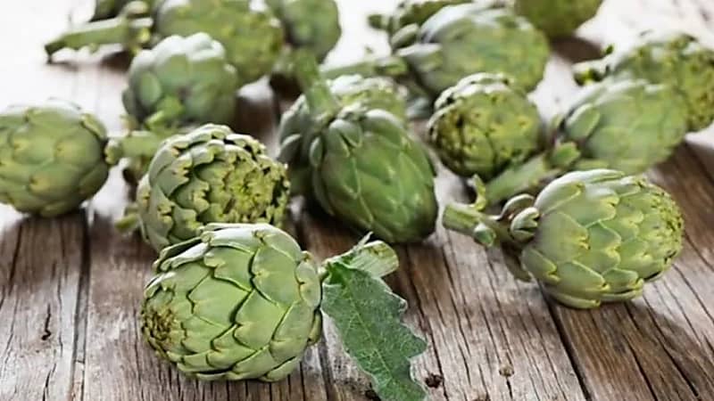 فوائد الخرشوف للمرأة الحامل