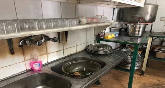 بالصور.. بلدية المدينة تضبط منتزهات مخالفة