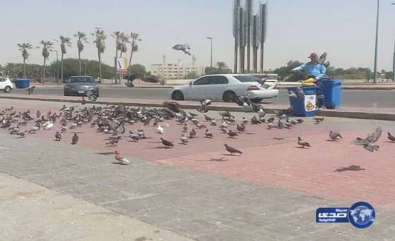 القبض على شاب تركي طعن جيرانه المصريين بسبب مباراة الفراعنة والسنغال