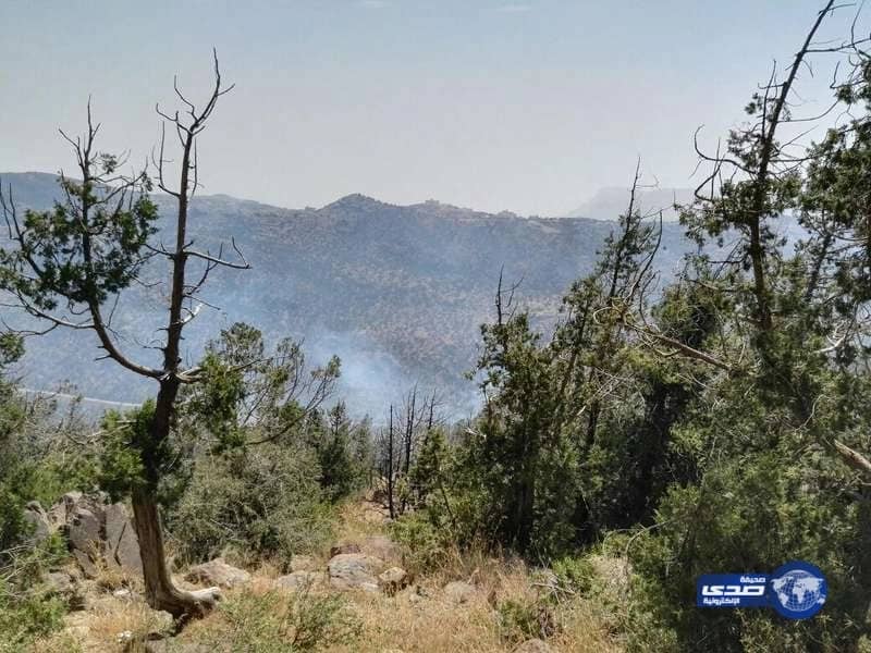 بالصور.. مذكرة تفاهم بين التحلية وجمعية ذوي شهداء الواجب