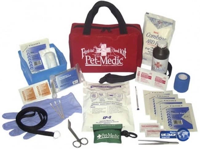 مدرب رياضي : المكملات لا تزيد الوزن واستهلاك السعرات يسبب تراكم الدهون( فيديو)