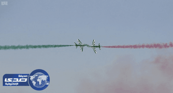 الصقور السعودية تستهل أولى عروضها في سماء حفر الباطن